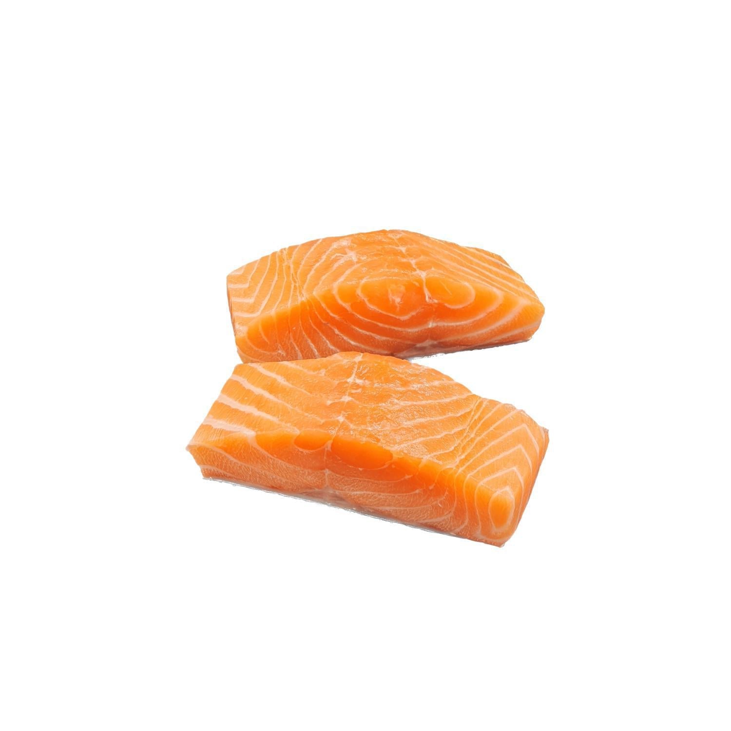 Stickleback Fish - Salmon Supreme